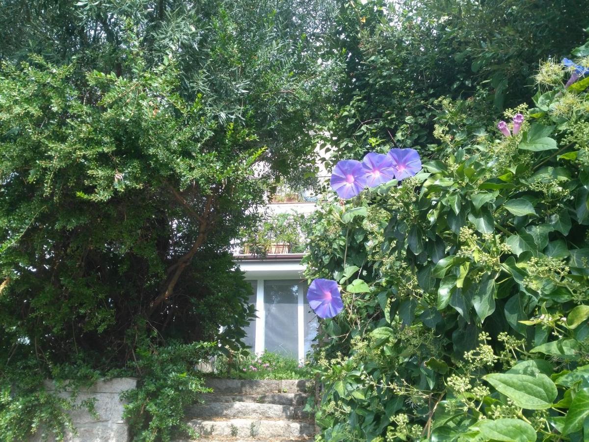 Hotel La Vignaredda - Residenza Di Charme à Aggius Extérieur photo